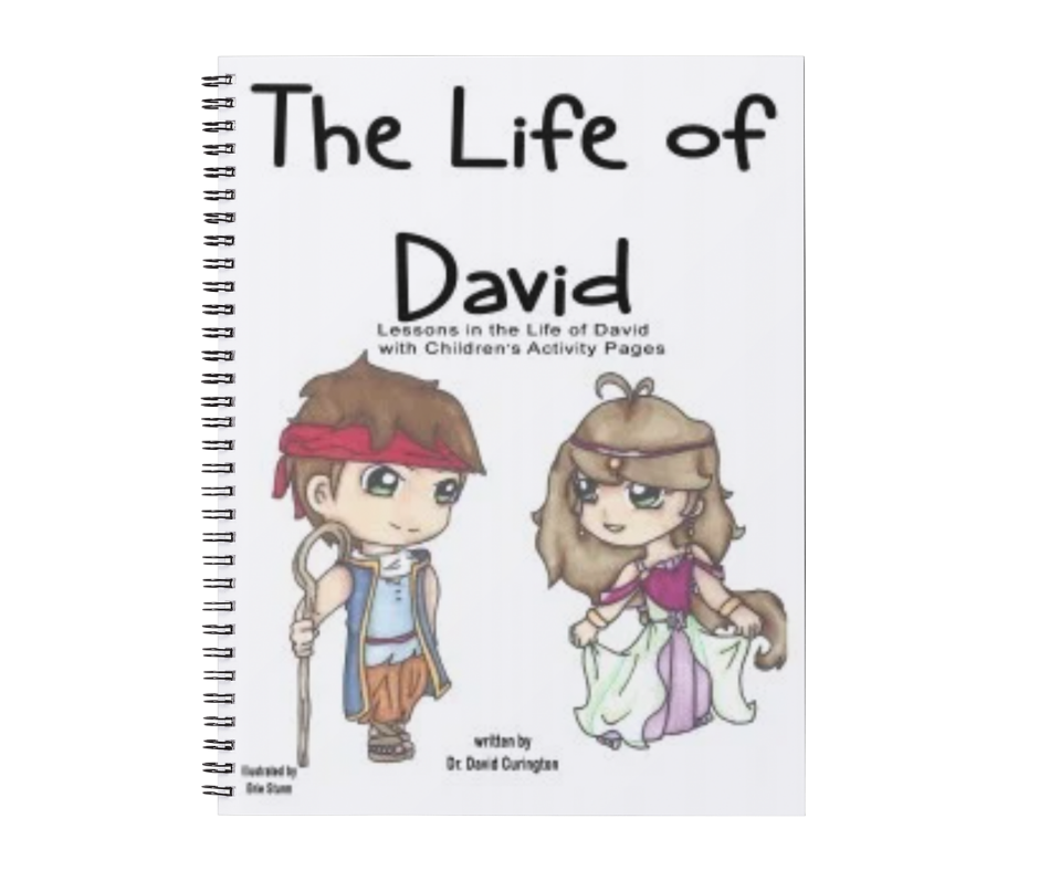 THE LIFE OF DAVID (CHILDREN'S SET)