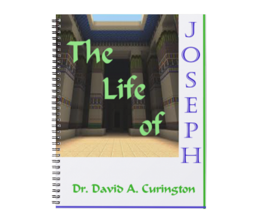 THE LIFE OF JOSEPH (CHILDREN'S)